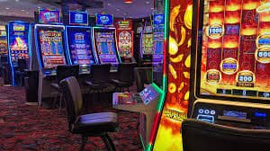 bet59511