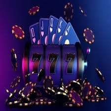 bet59511